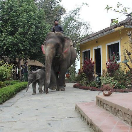 Hotel Sapana Village Lodge Chitwan Bagian luar foto